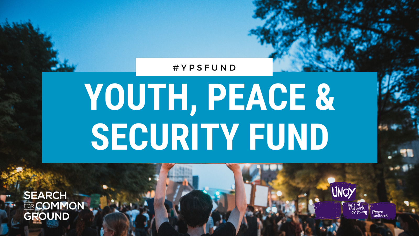 The Youth, Peace and Security Fund